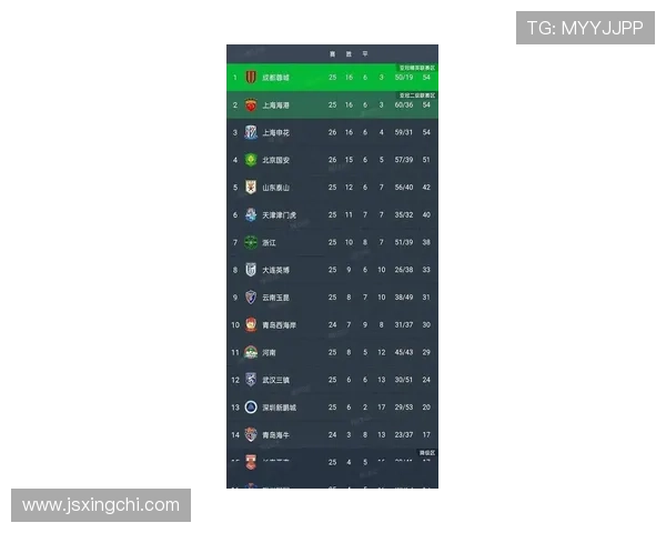 北京排球队在钻石联赛积分榜上以73分稳居第一名展现强劲实力