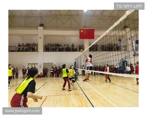 北京排球队比赛经验分享与启示聚焦排球运动发展新视角 北京排球队比赛经验分享与启示聚焦排球运动发展新视角