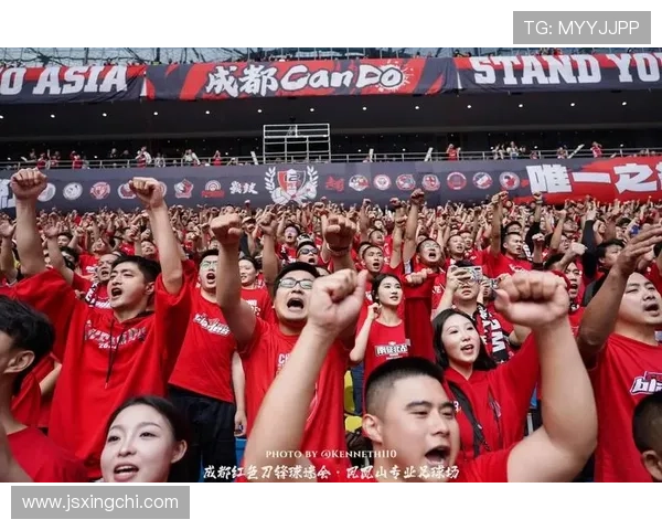 世界足球明星足球嘉年华盛典激情四溢球迷齐聚共庆足球梦想与荣耀的盛宴